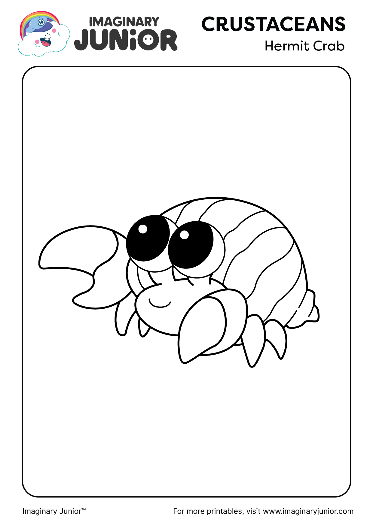 Hermit Crab Printables & Coloring Pages (2024 Edition) - Imaginary Junior